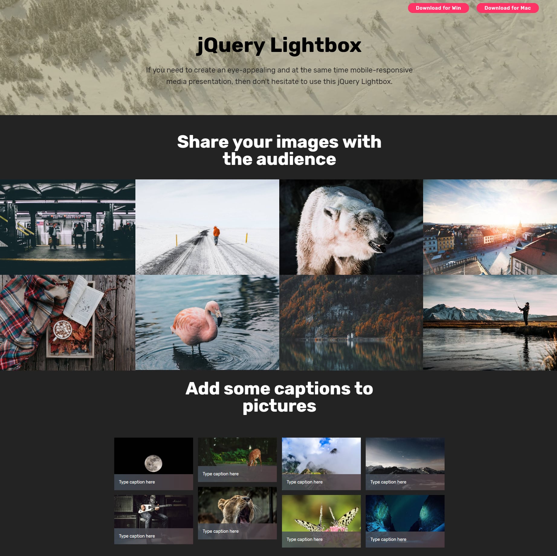 CSS Bootstrap Image Gallery